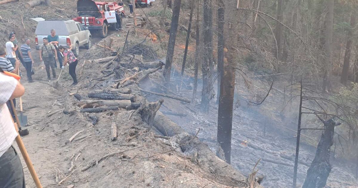 Служители на ЮЗДП, ДГС Дупница и ДГС Невестино, заедно с