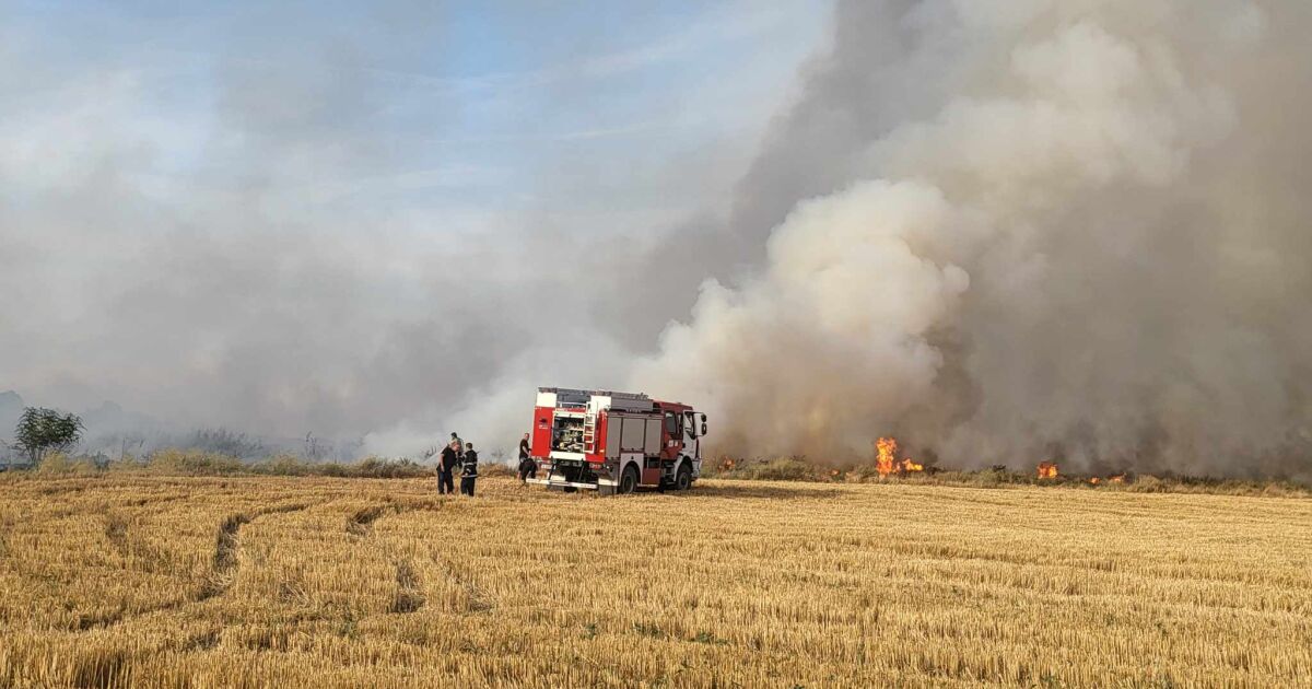 Големи горски пожари избухнаха в няколко общини в област Хасково.