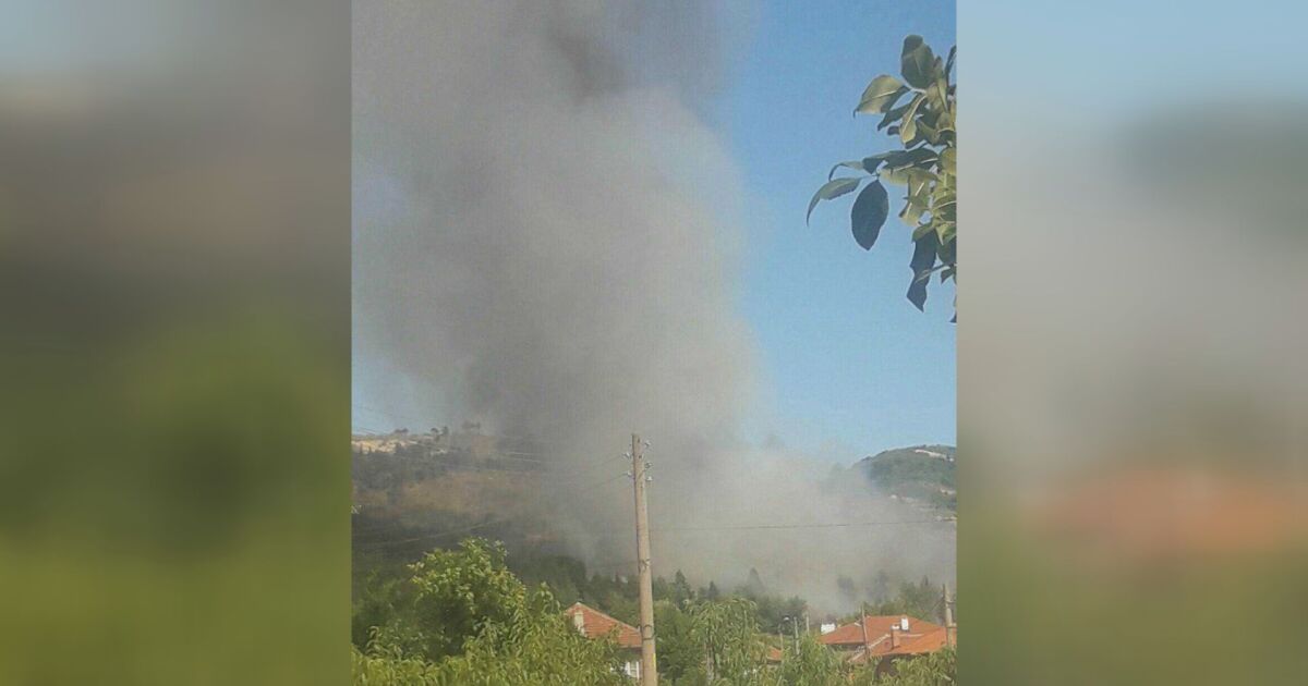 Гори пожар край пловдивското село Искра. Няма опасност от разпространение