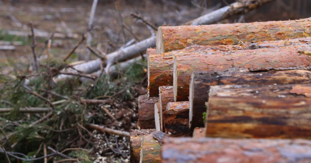 Бракониери опитаха да запалят автомобила си, който е бил пълен