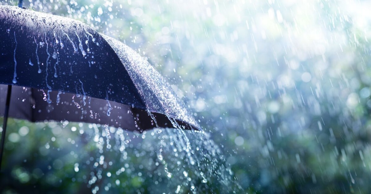 Интензивните дъждове са засегнали части от Солун, заяви за АНА-МПА директорът