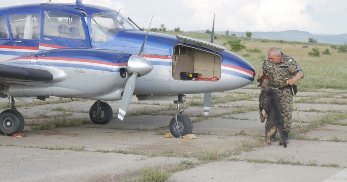 Продължава разследването на случая с мистериозния самолет нарушител. Основната версия,