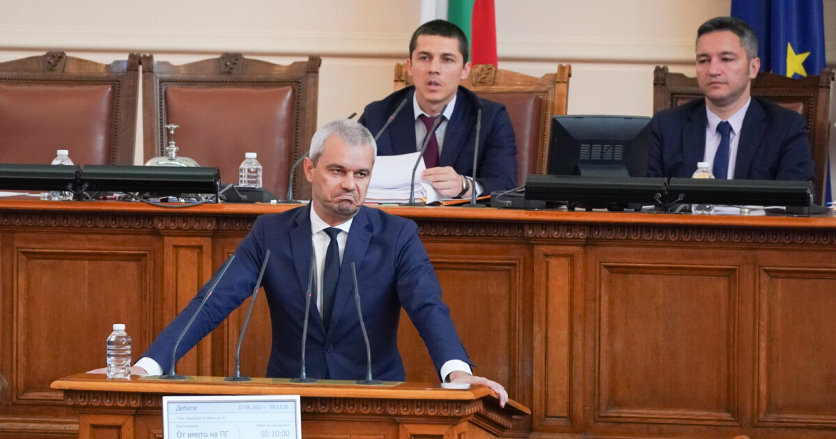 Костадин Костадинов нарече протестиращите пред Народното събрание в подкрепа на