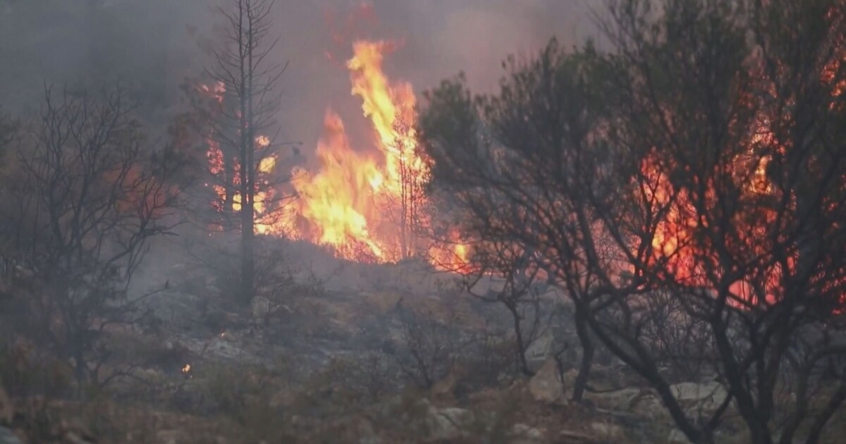 Няколко европейски страни изпращат противопожарни екипи в Гърция, за да