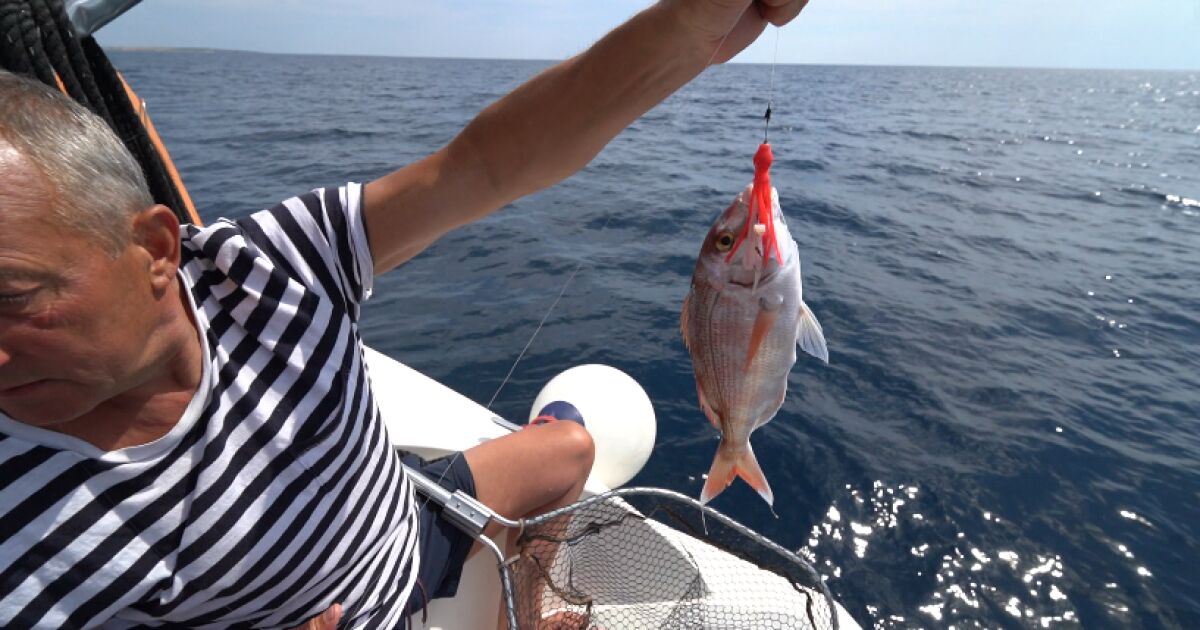 Риболовът е чудесно занимание, особено в морето. То не е
