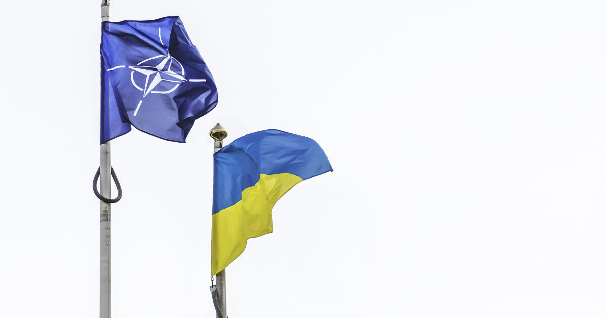 Проект на декларация в подкрепа на членството на Украйна в