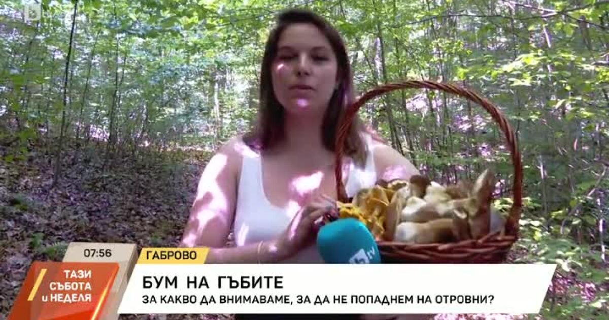  Лятото настъпи, но дъждовете в страната не спират. И докато