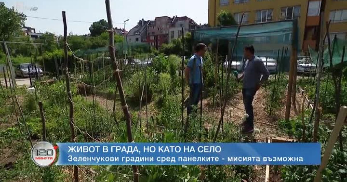  Да живееш в големия град, но да ядеш зеленчуци от