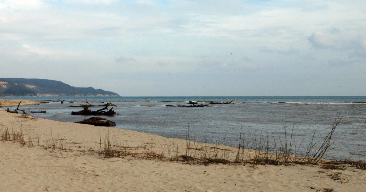 68-годишен турист от Полша се удави в морето в района