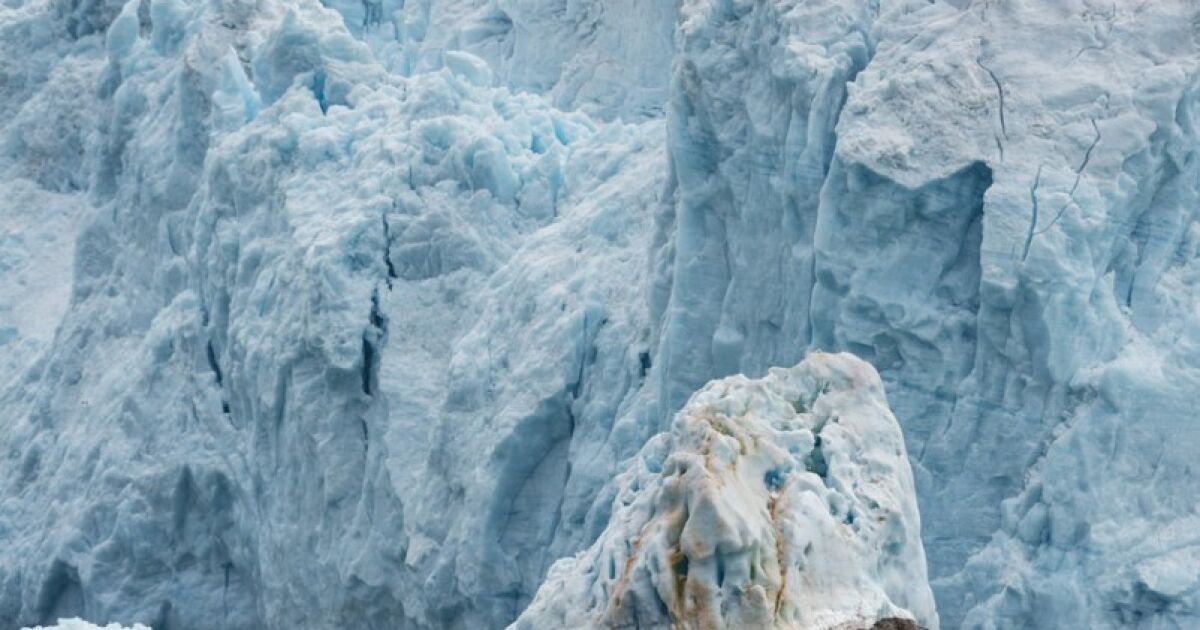 Човечеството не е готово да се изправи срещу вируси, които