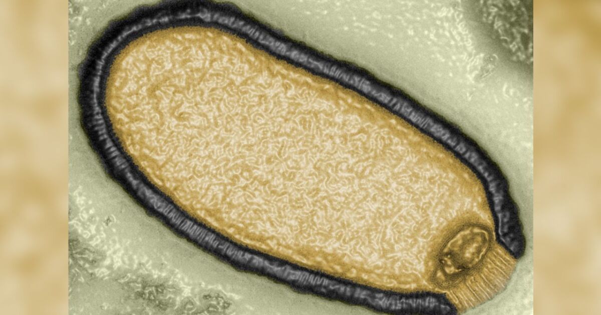 Учени съживиха зомби“ вирус, прекарал 48 500 години замръзнал в