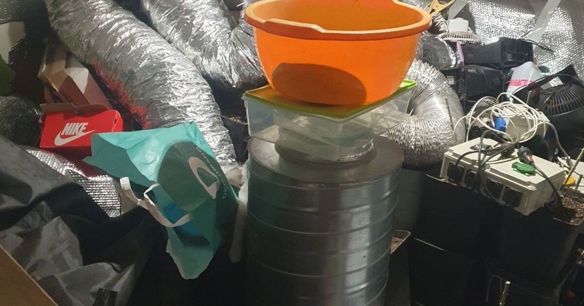 Служители от Първо районно управление в София разкриха престъпна група,