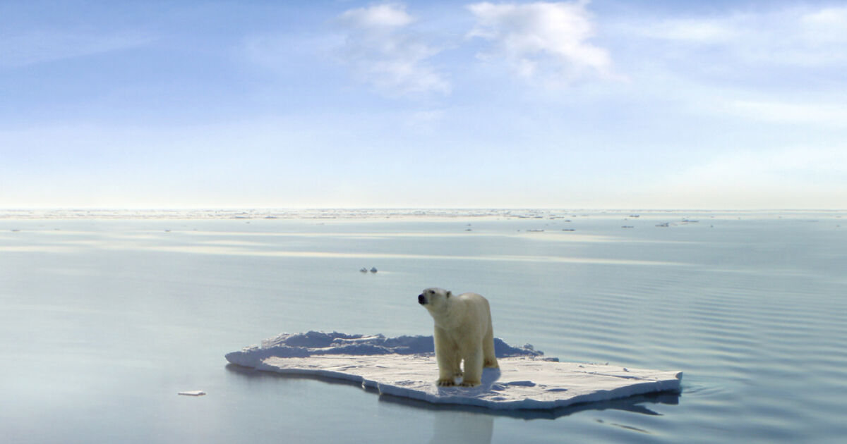 Лоши новини за човечеството – Северният ледовит океан, известен и