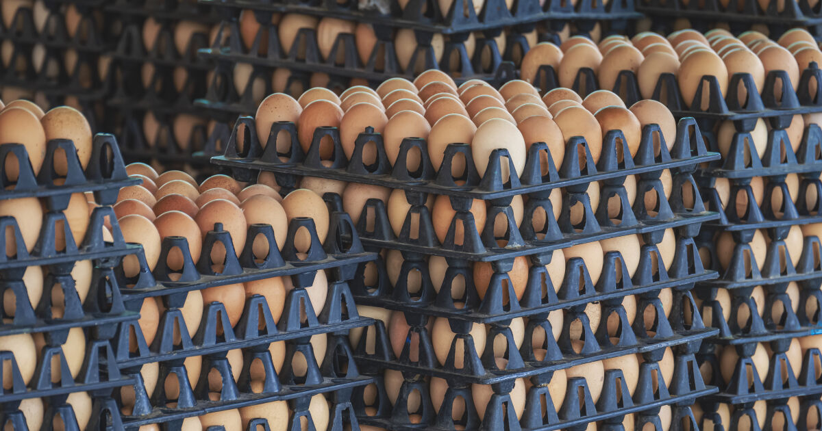 Ускореното производство на боеприпаси за Украйна ще е подкрепено с