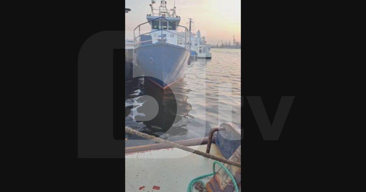 Един от собствениците на българските кораби, задържани в Румъния, предостави