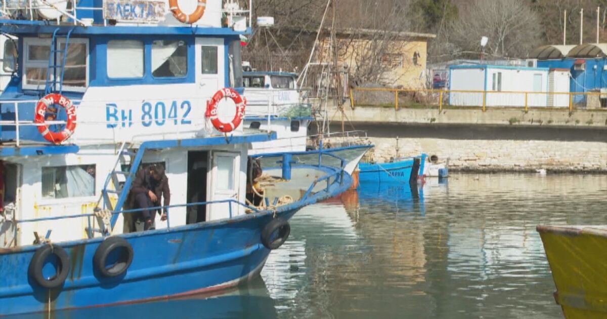 Българските моряци от трите риболовни кораба, задържани в Румъния по