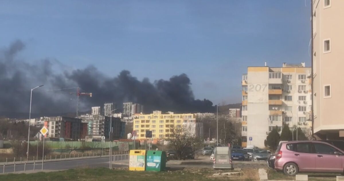 Голям пожар се e разразил следобед над варненския квартал Владислав