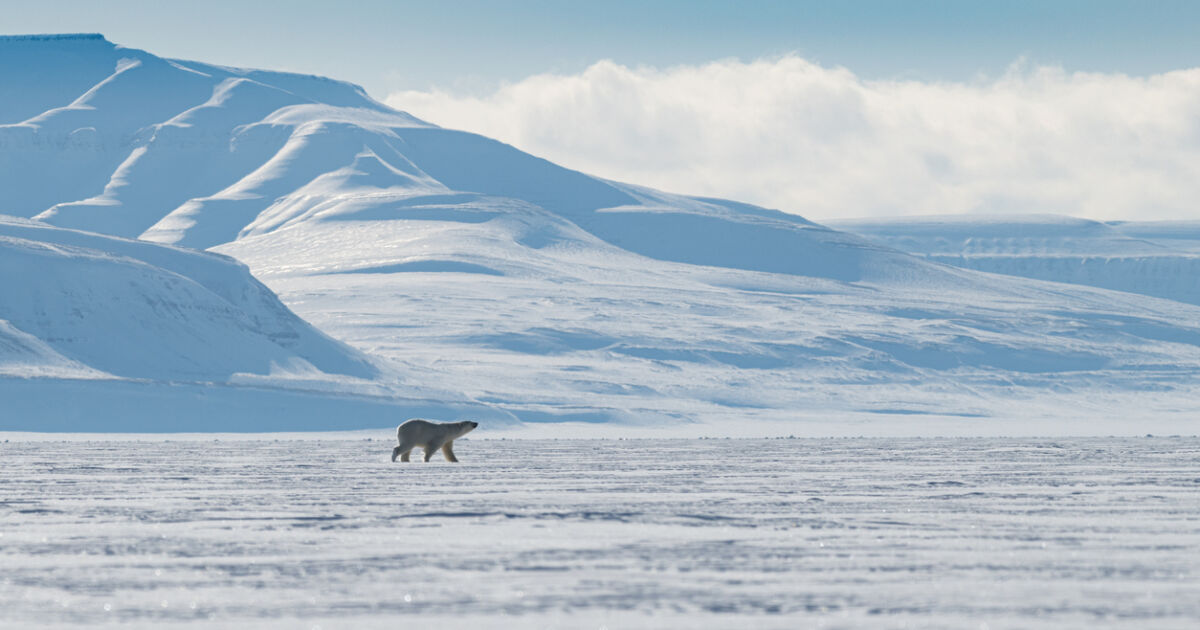 В Арктика може да настъпят първите дни без лед, с