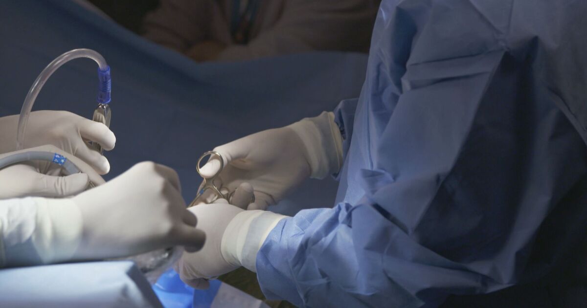 Бъбреци са трансплантирани на двама мъже с хронична бъбречна недостатъчност