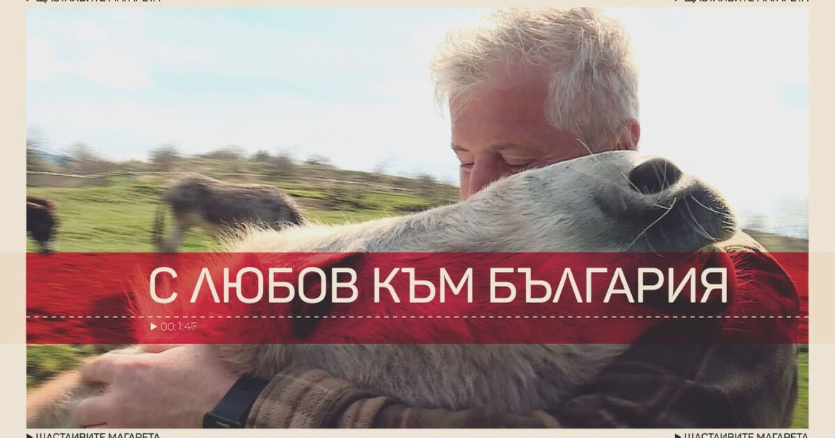 Италианец и бесарабска българка отглеждат магарета край София в село