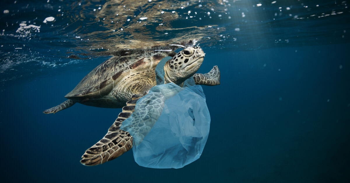 Замърсяването с пластмаса може да бъде намалено с 80% до