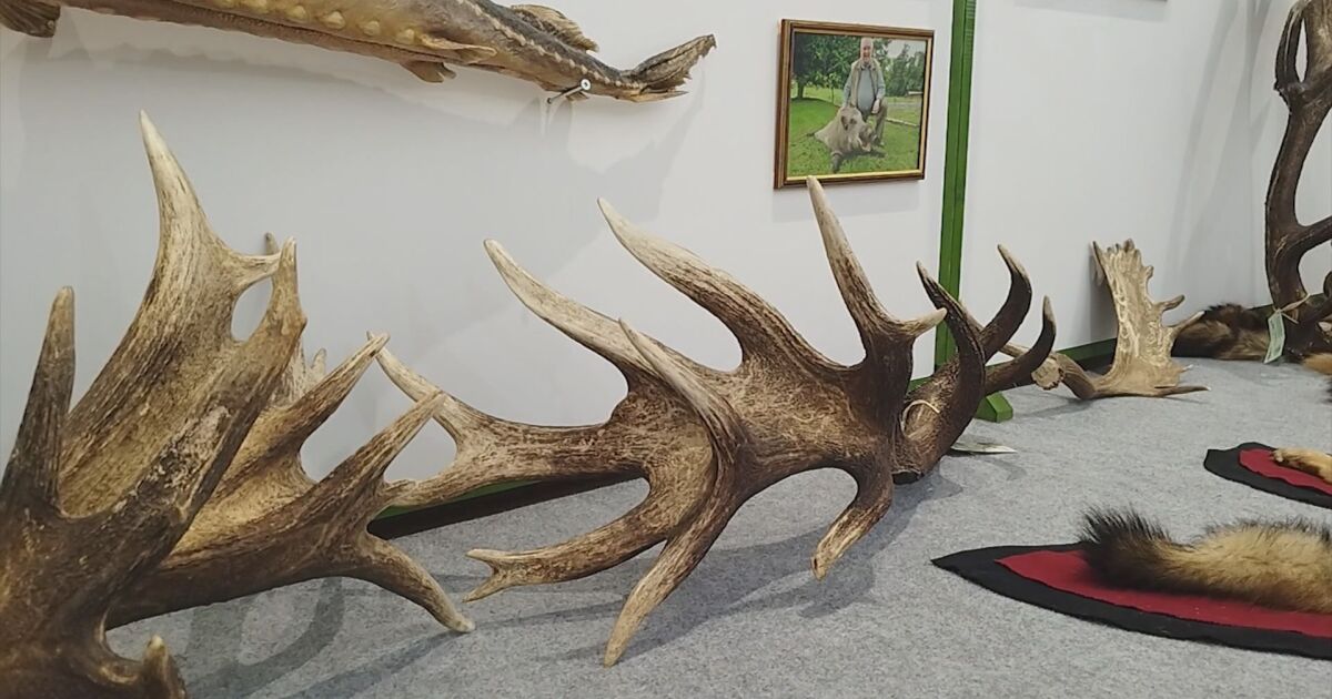 Атрактивни експонати представя България на ловното изложение в Истанбул, което