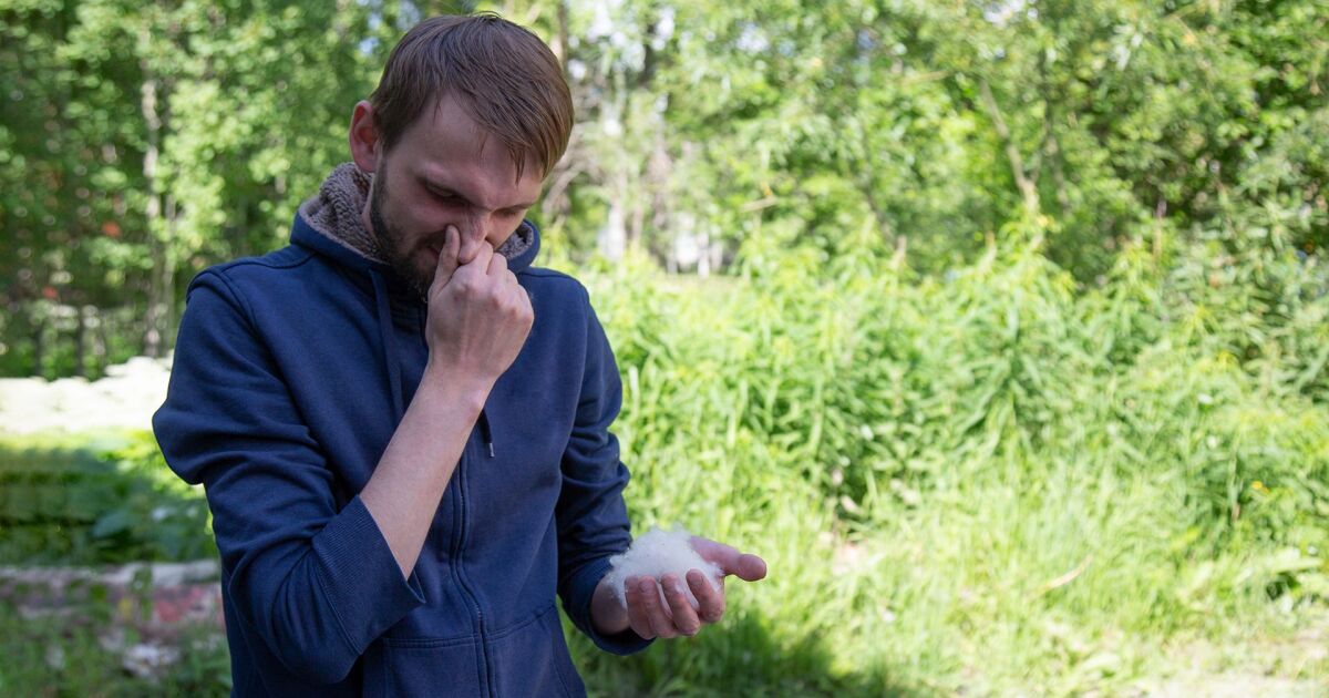 Прогнозата за алергизиращите растения е съвместен проект на bTV и на