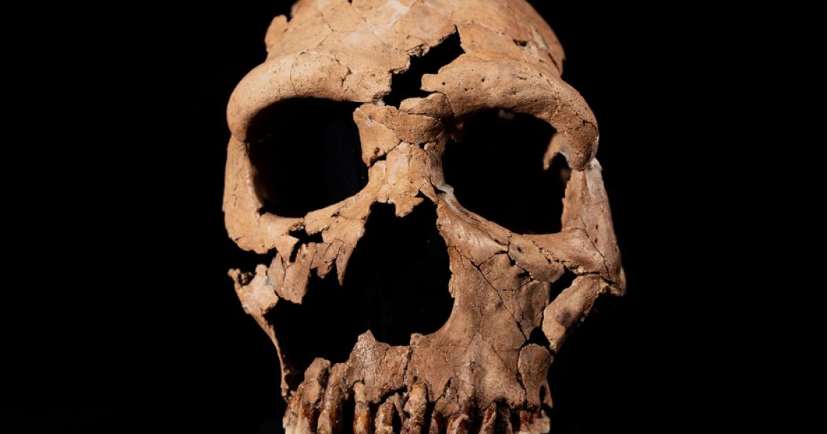 Британски археолози разкриха как е изглеждало лицето на неандерталка, живяла