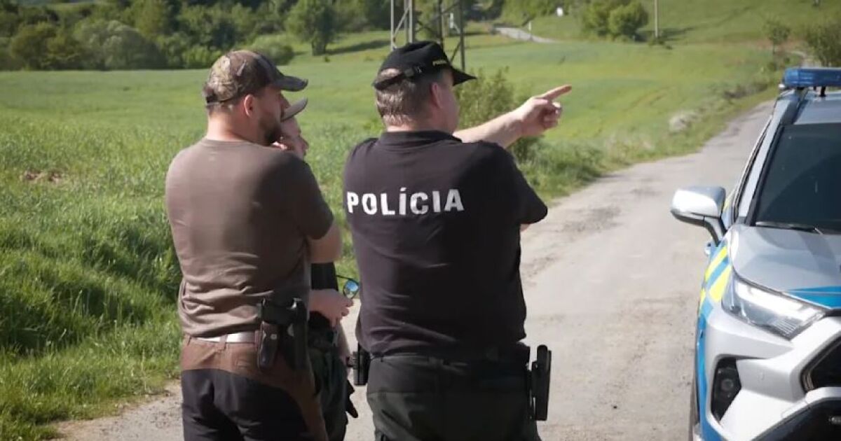 Мечка нападна и рани гъбар в гора в Словакия. Животното