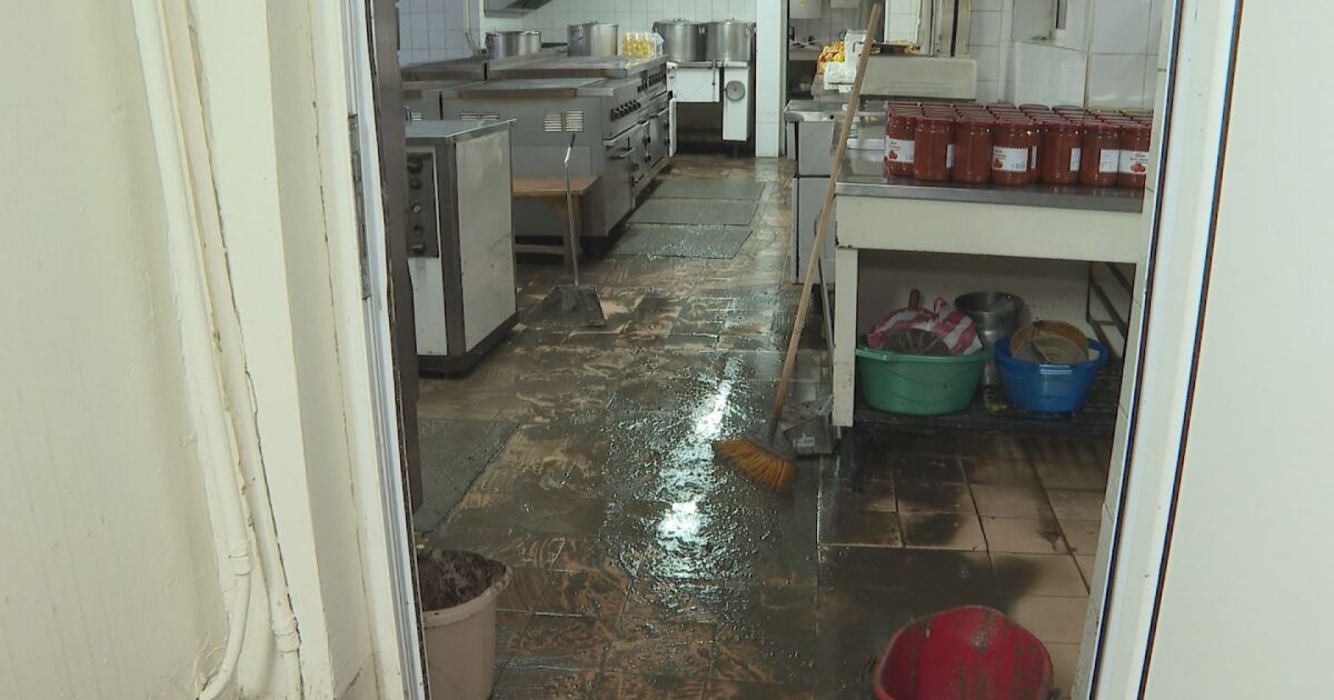 След потопа в Плевен - остава открит въпросът с изхранването