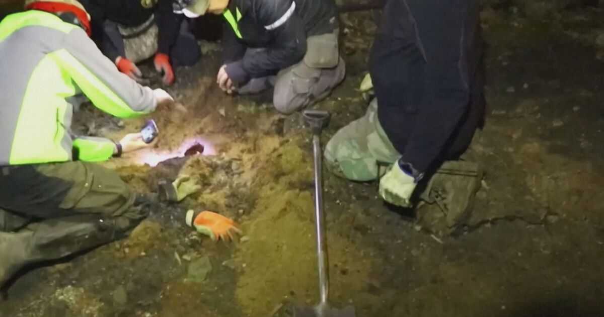 Пет човешки скелета без ръце и крака бяха открити във