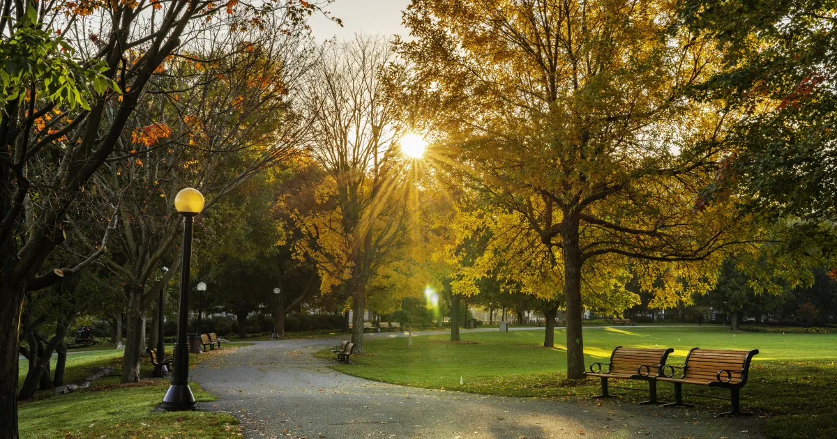 Парк в най-големия канадски град Торонто ще носи името Игнат