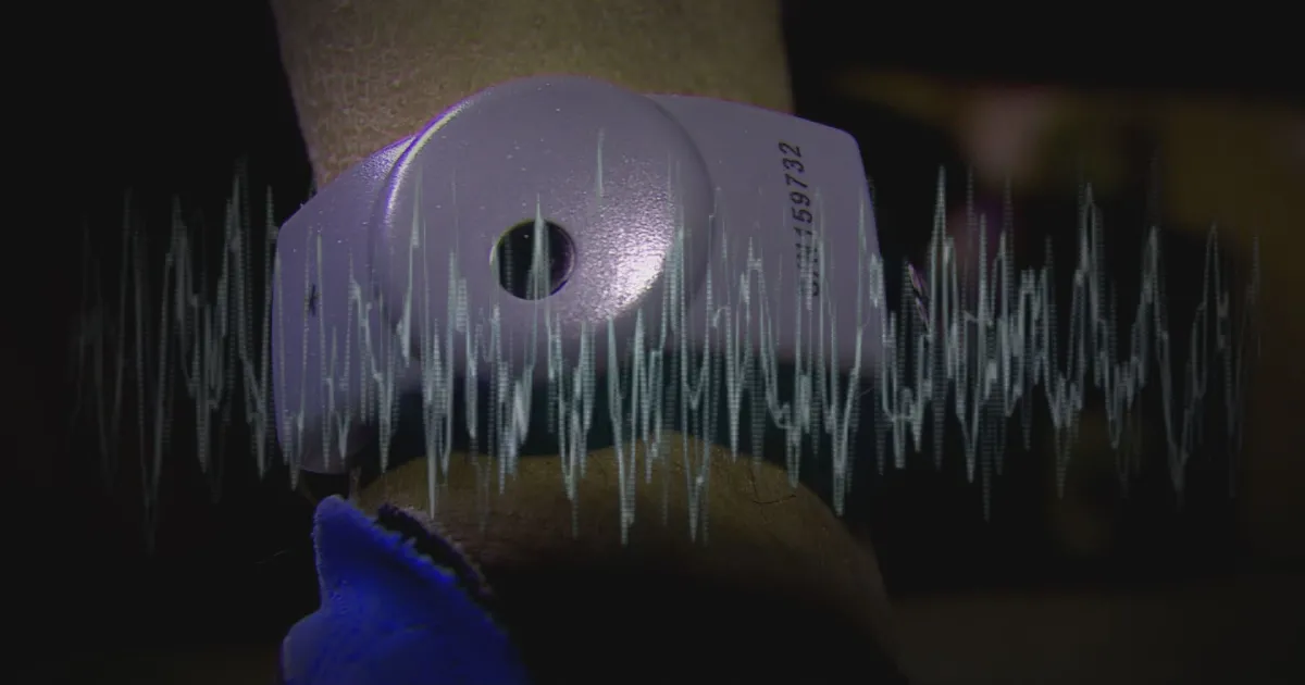 Как държавата пази задържаните под домашен арест? С 250 следят