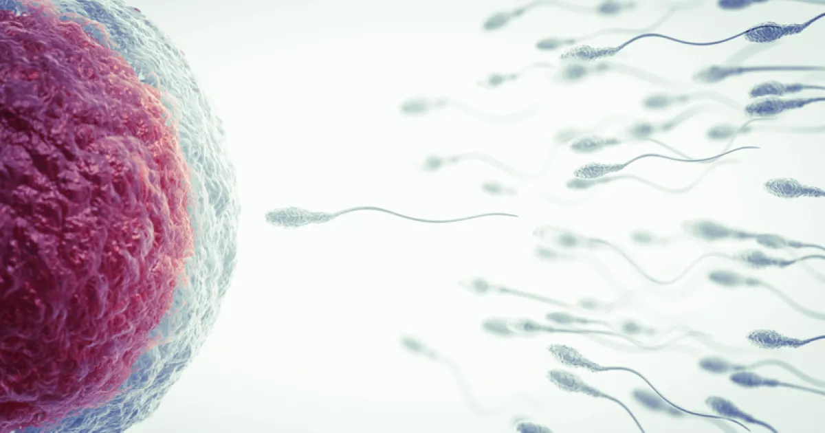 Темпът на намаляване на броя на сперматозоидите при мъжете се