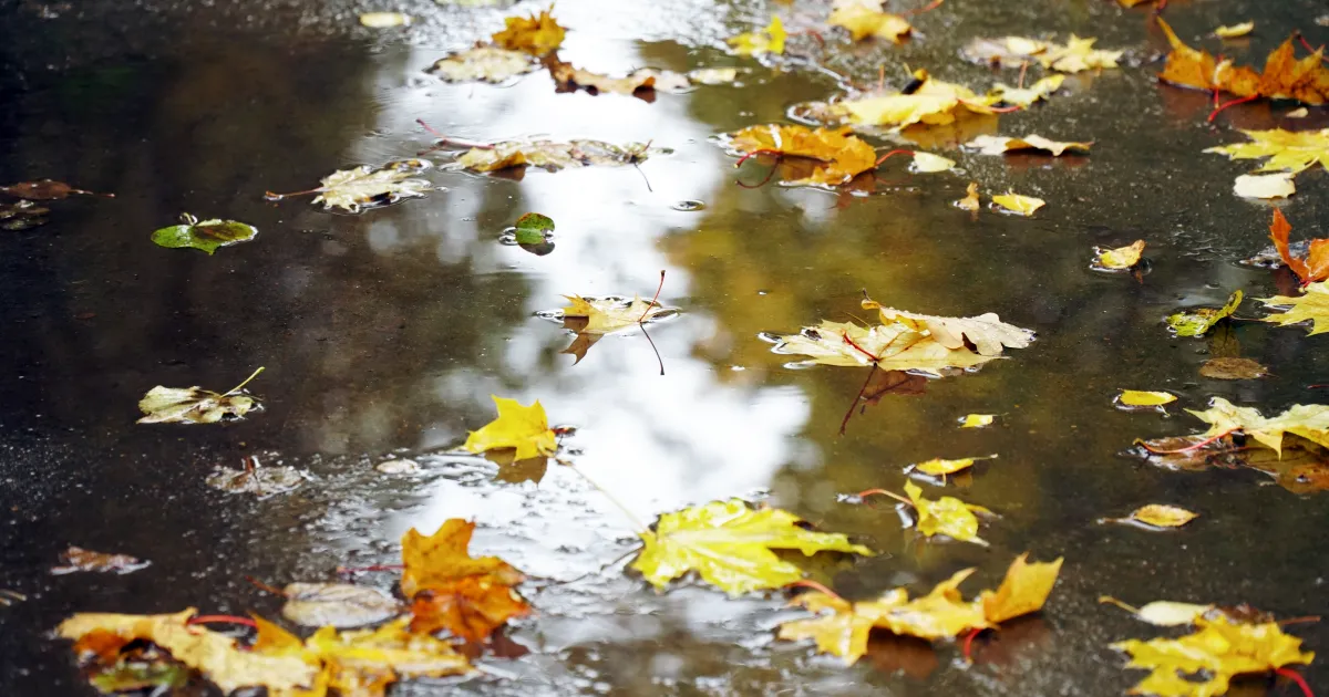 В понеделник е обявен жълт код за значителни валежи важи