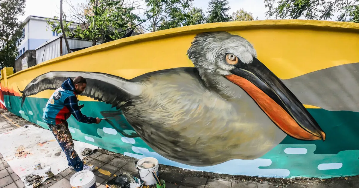 Мащабна рисунка на ято къдроглави пеликани се появи на улична