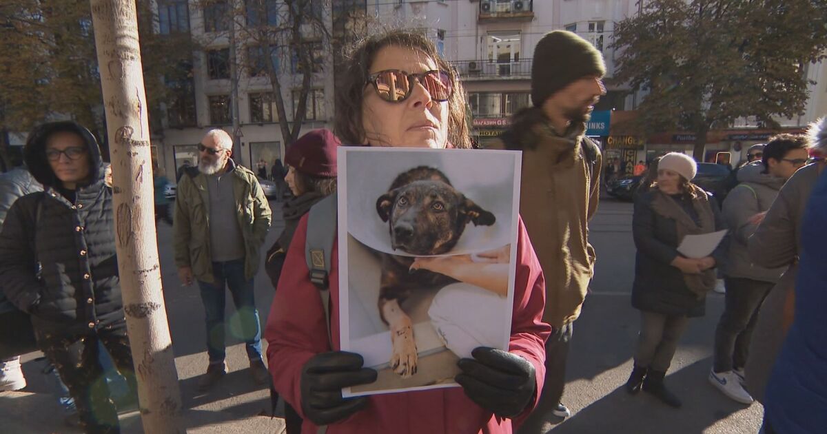 пред Съдебната палата в София срещу насилника на бездомното куче