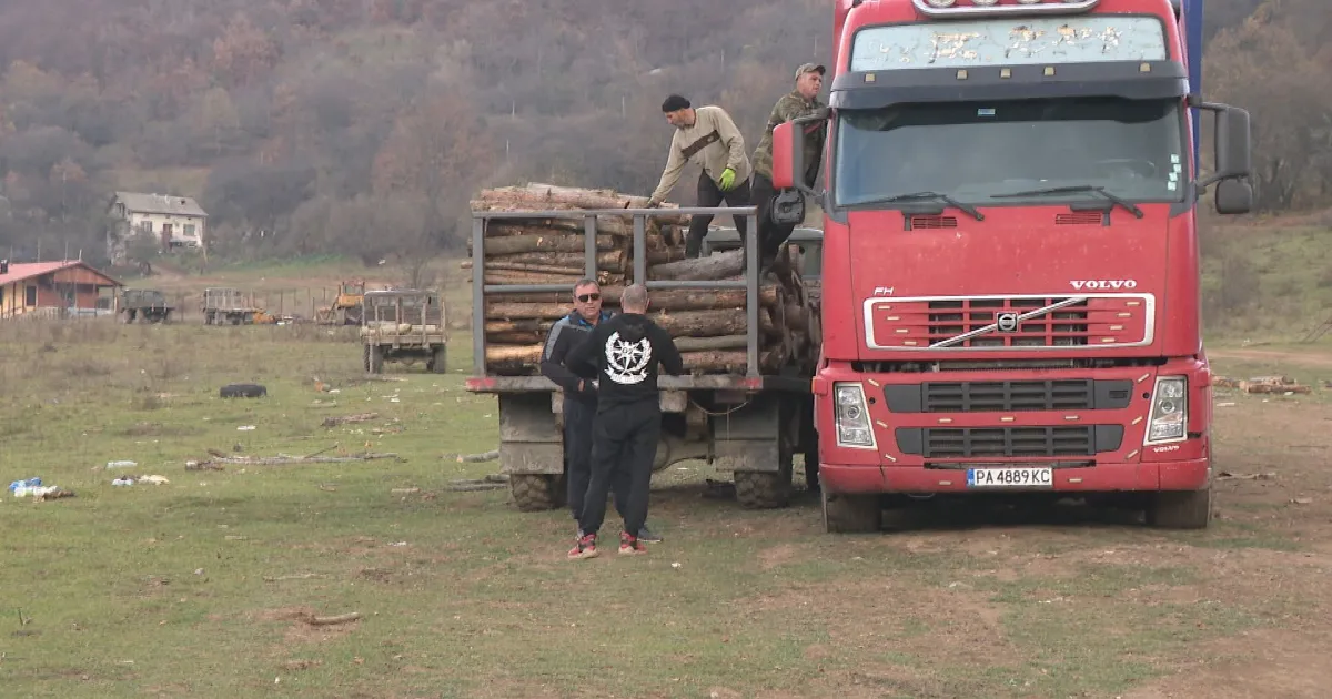 Показателна история за незаконна сеч разкрива разследването на Марин Николов.