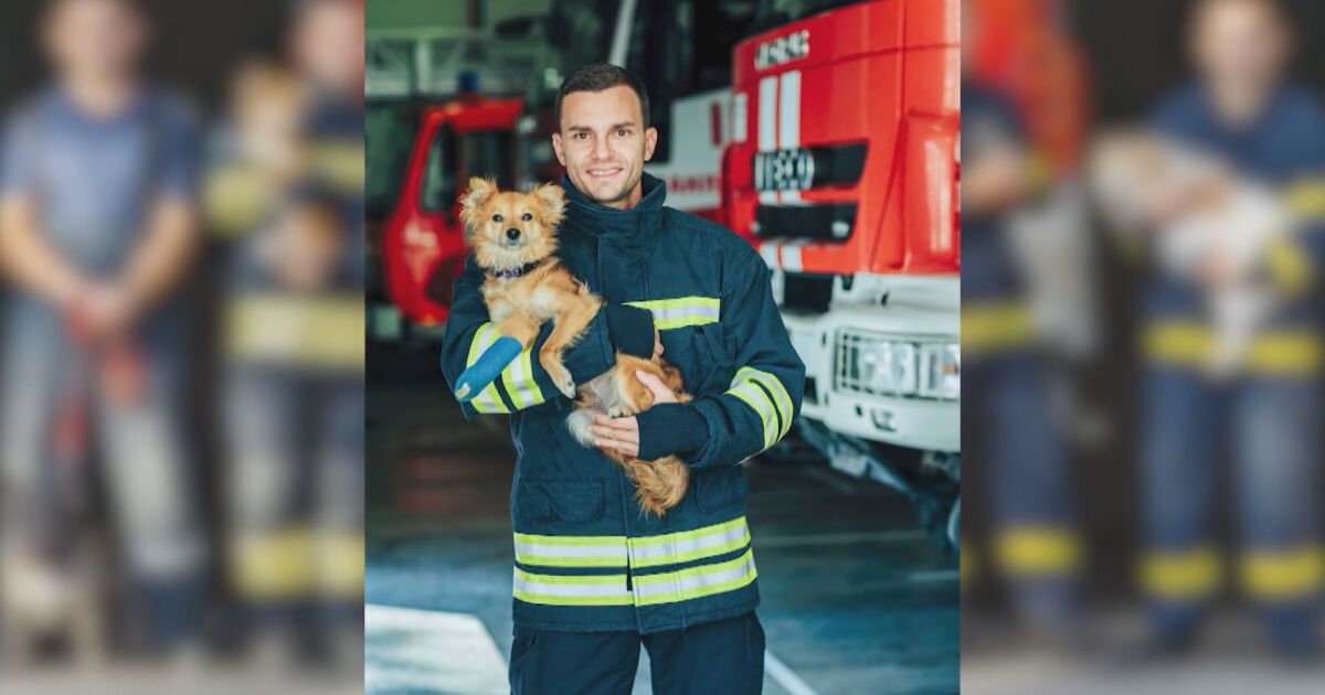 Пожарникари от Казанлък заснеха фотосесия със спасени животни, станали жертва