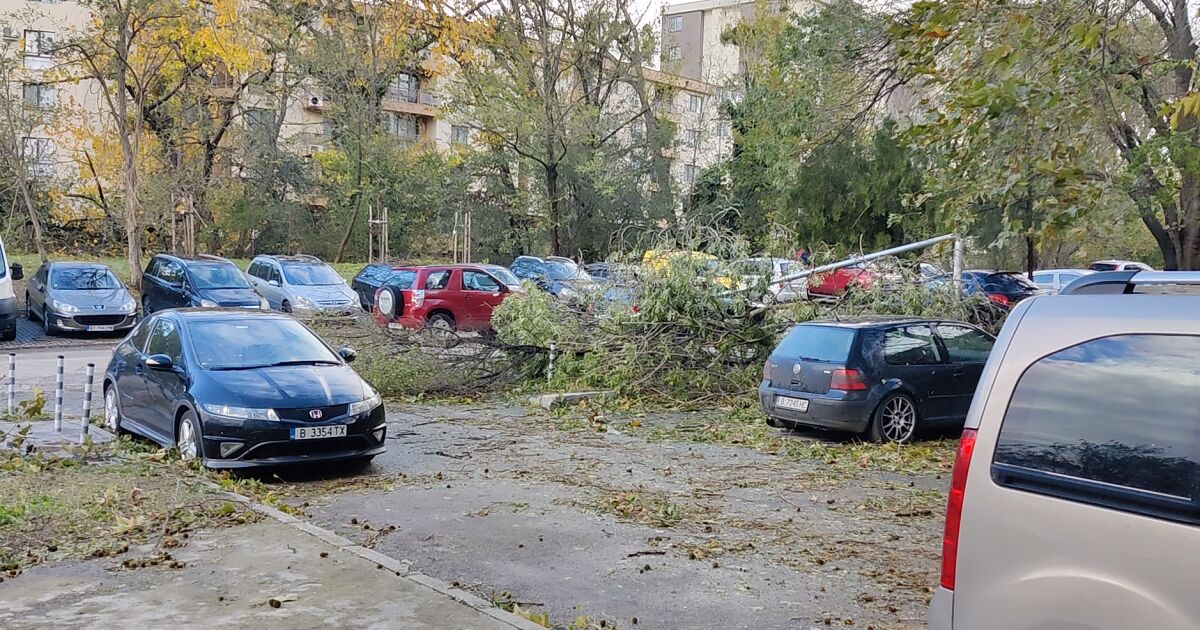  Близо 24 часа е бедствено положението в Североизточна България заради