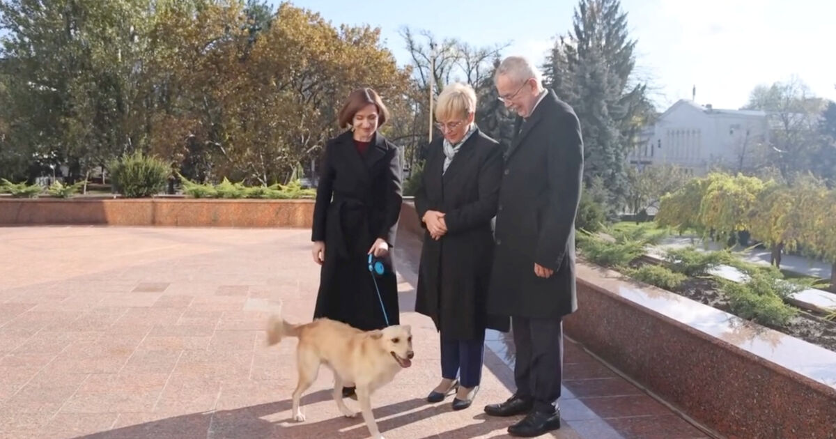 Кучето на молдовския президент Мая Санду наруши протокола по време