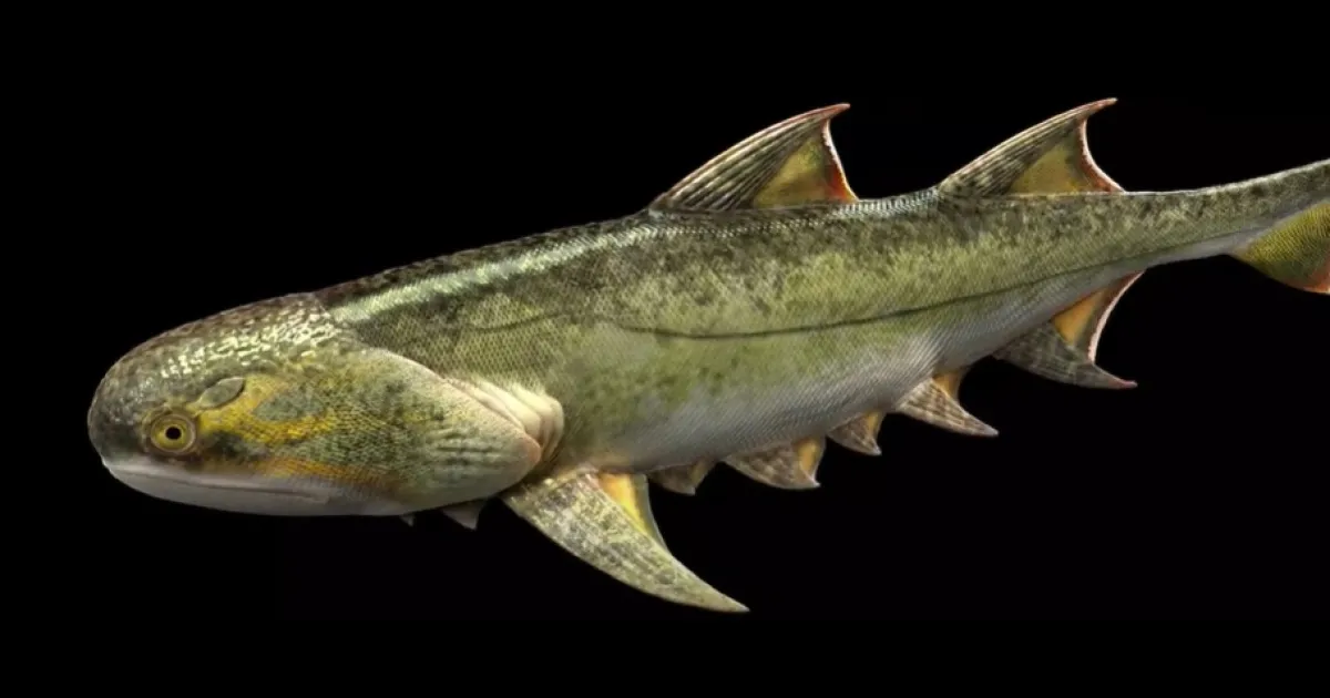 Древна акула с двойни шипове и костна броня може да