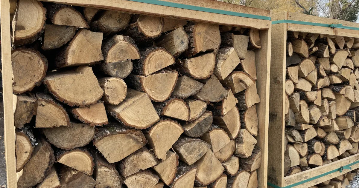 Почти тройно повече заявки за дърва за огрев отчитат от