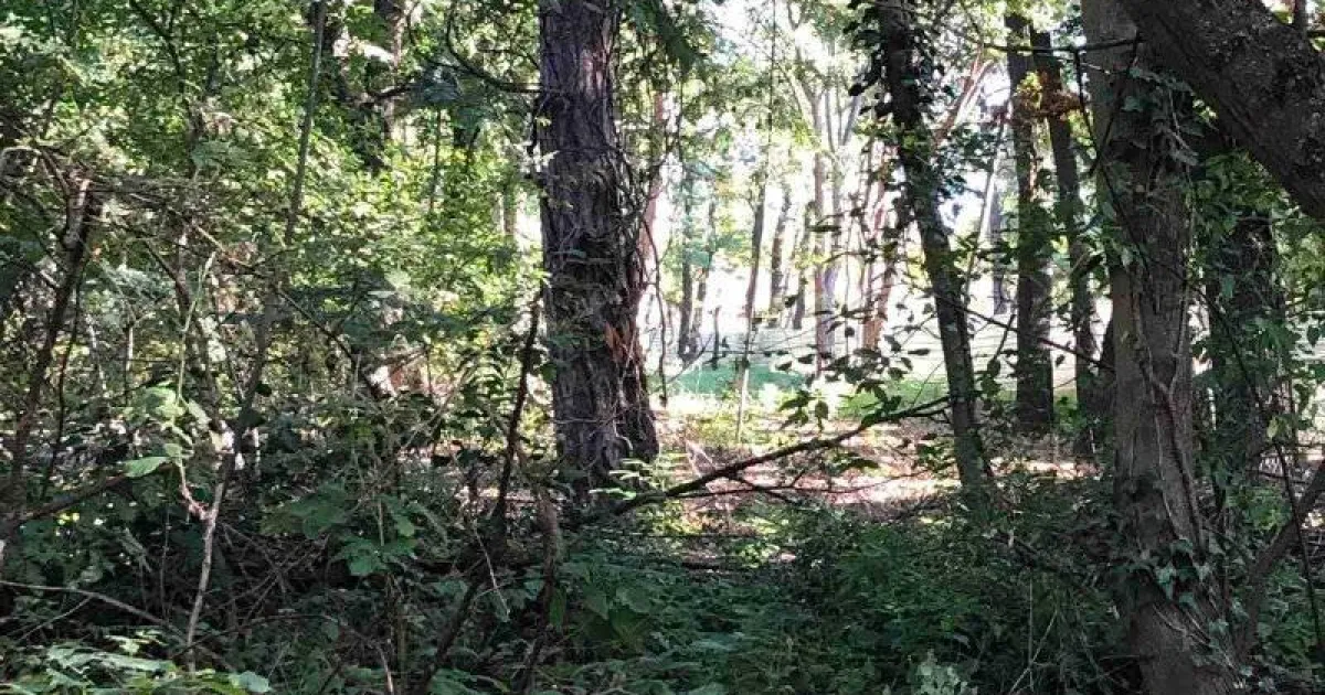 Новите 12 декара“ на Борисовата градина – това е зоната,