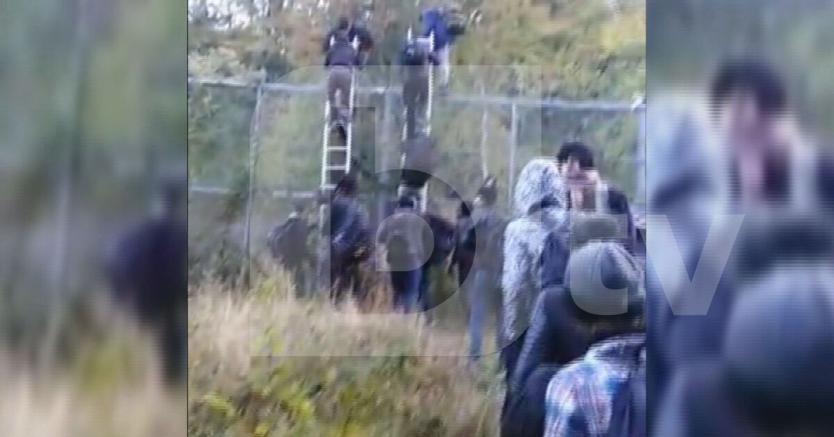 Ексклузивни кадри по bTV: Мигранти прескачат със стълба оградата на  границата - bTV Новините