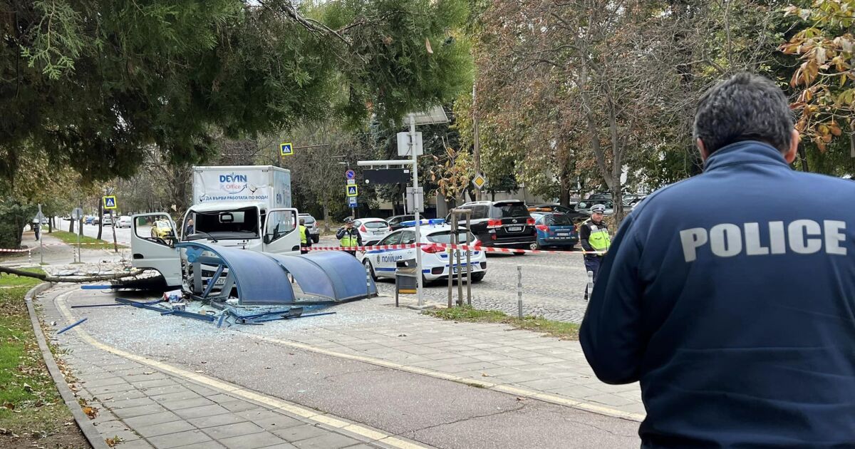 Камион удари и уби 19-годишно момиче в София, след което