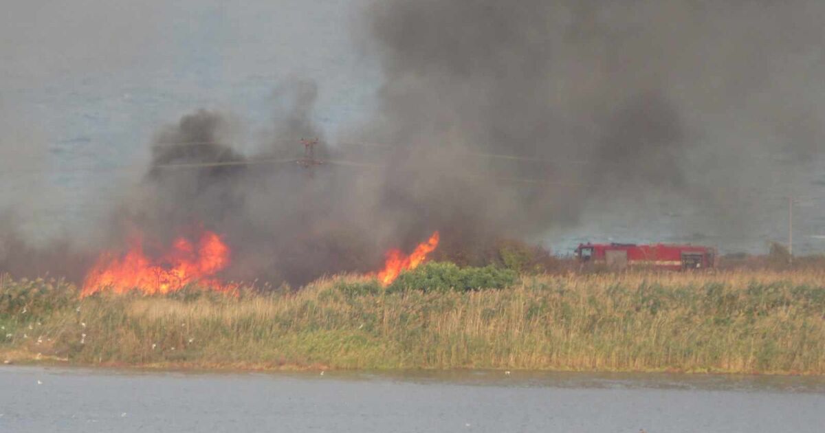 Пожар гори край Атанасовското езеро в Бургас, по пътя за