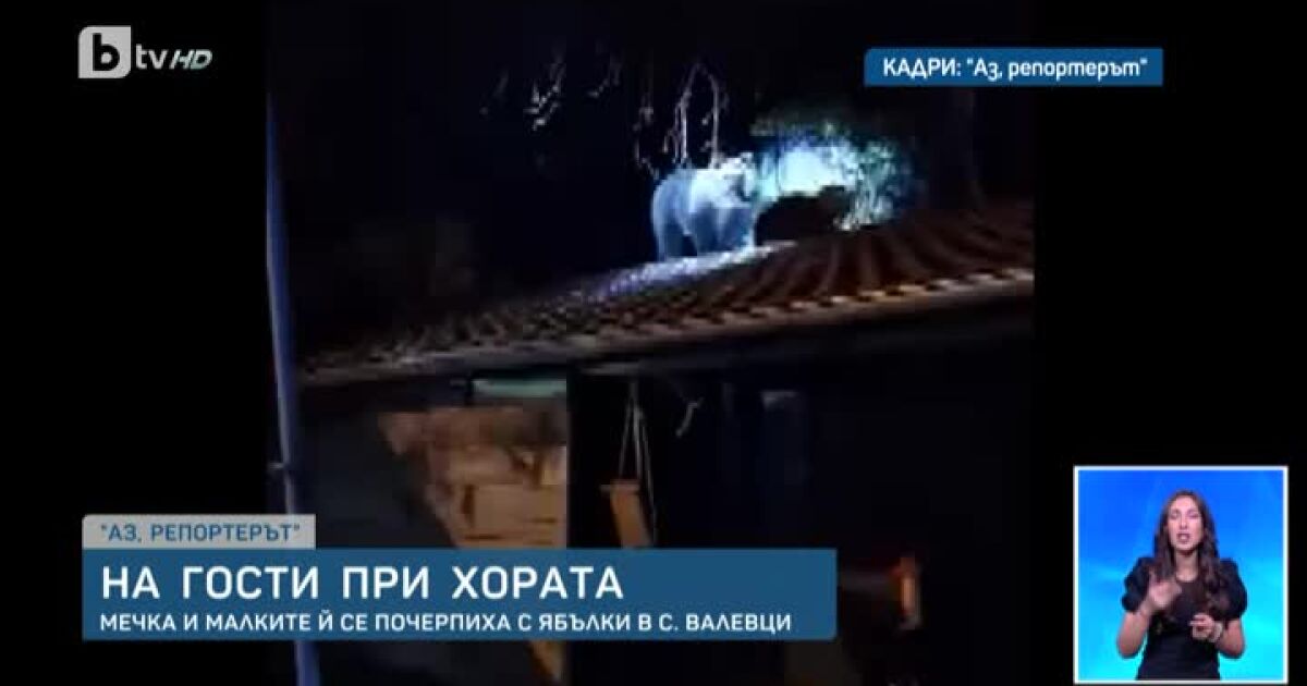 Мечка с малките си мечета се покатери върху покрив. Случката