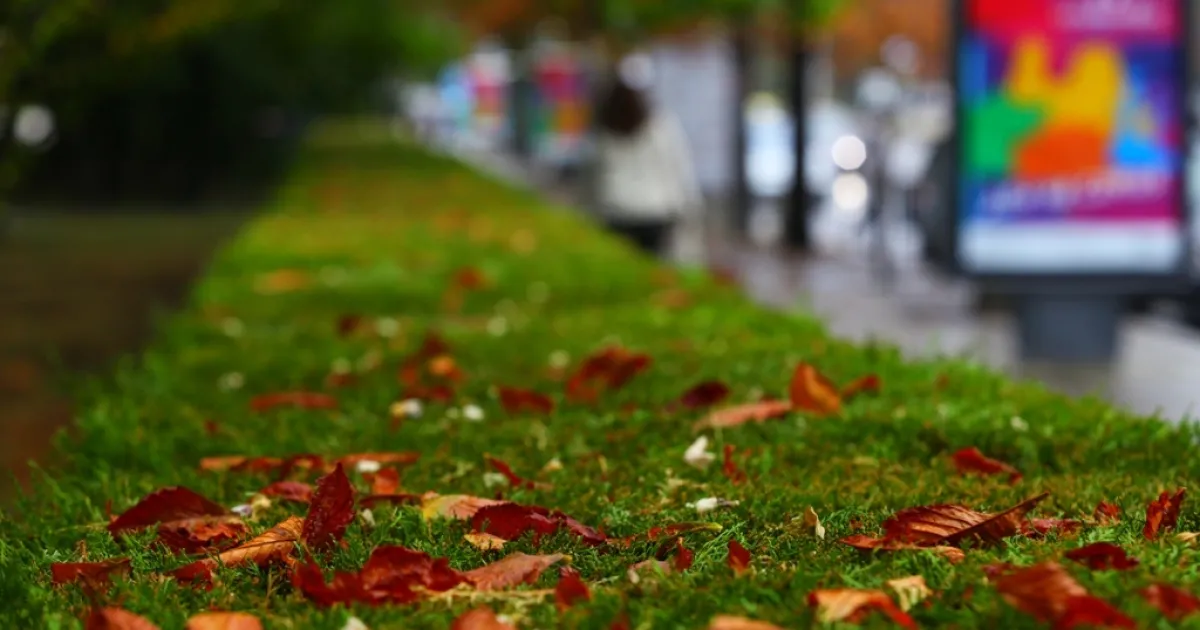 В неделя ни очаква променлива облачност, но няма да липсват