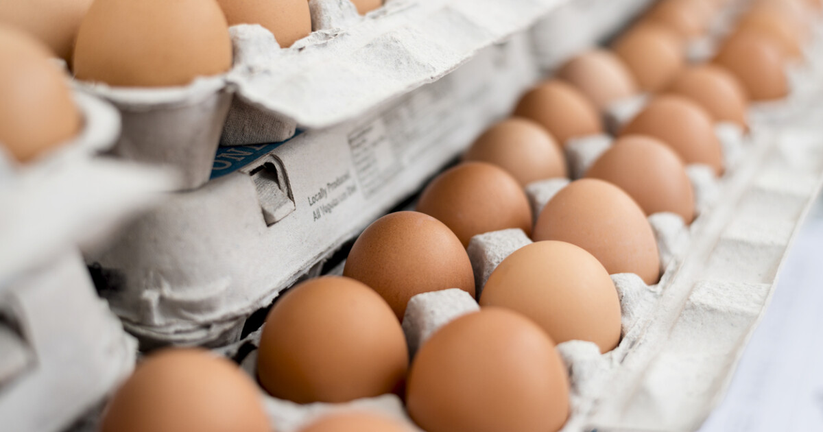 Над 302 хил. яйца от България са били задържани от